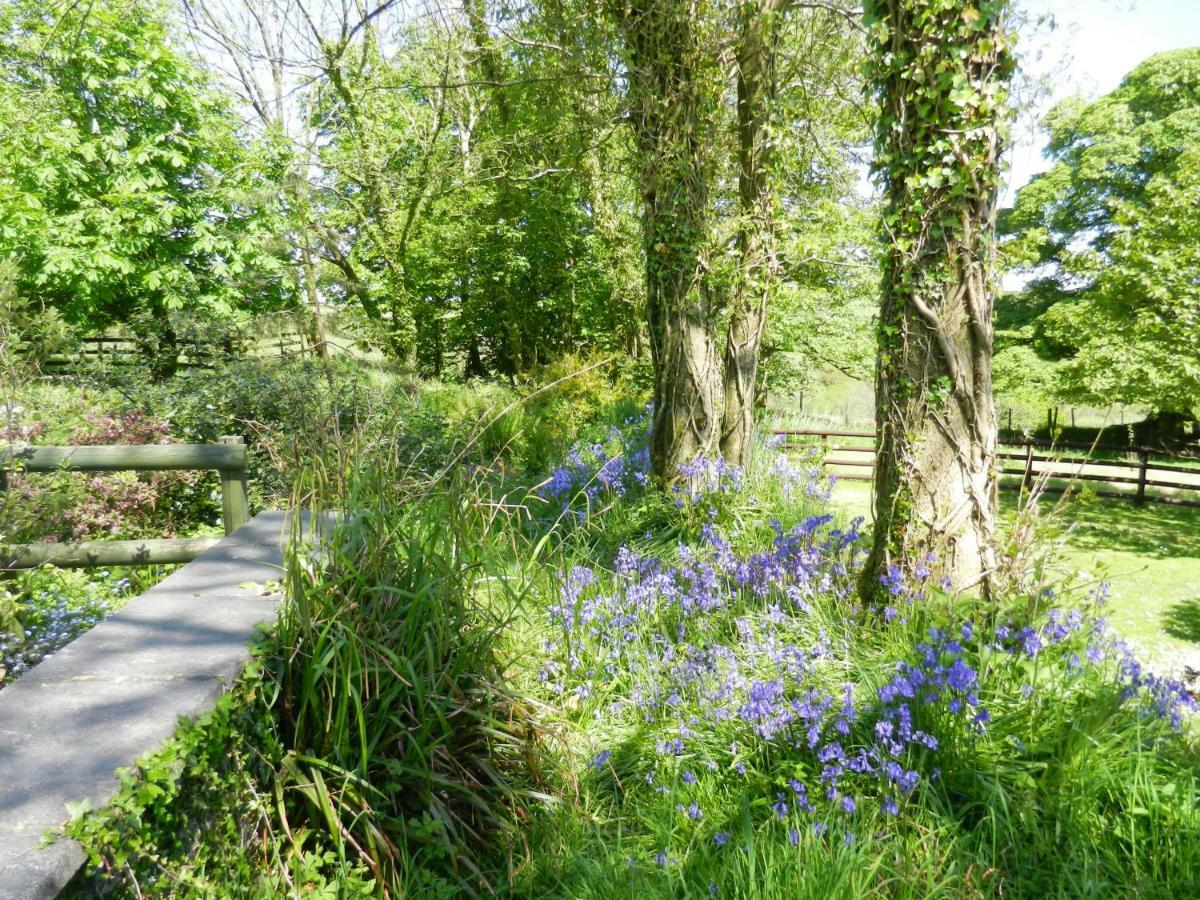Cilwen Country House Bed And Breakfast Abernant ภายนอก รูปภาพ