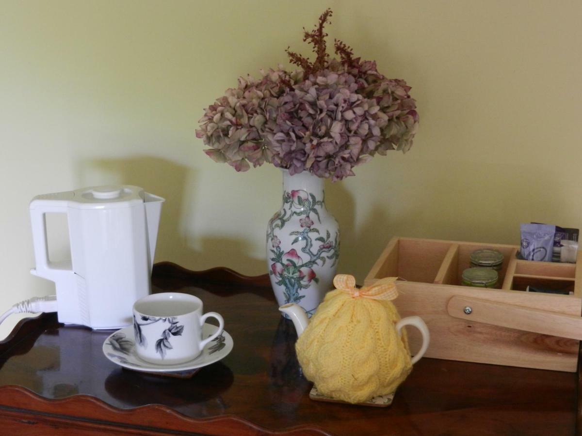 Cilwen Country House Bed And Breakfast Abernant ภายนอก รูปภาพ