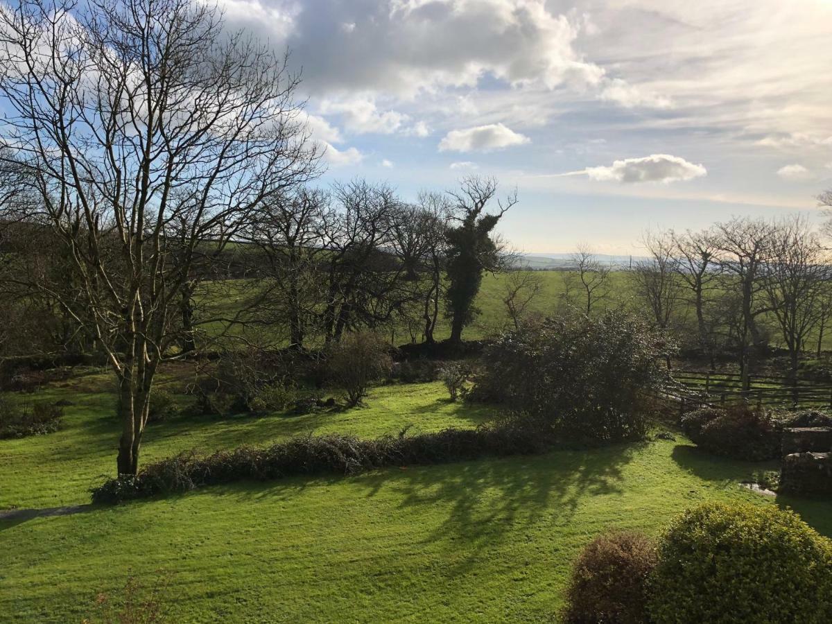 Cilwen Country House Bed And Breakfast Abernant ภายนอก รูปภาพ